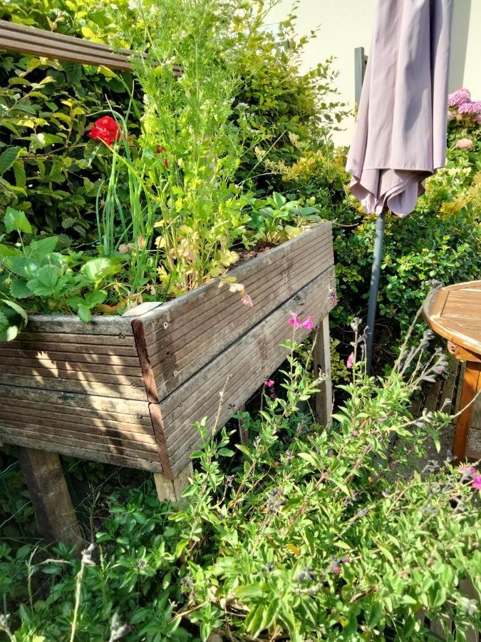 Mer A Pied Vrai Lit Linge Fourni Jardin Brétignolles-sur-Mer Kültér fotó